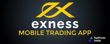 All You Need to Know About Exness Forex Broker